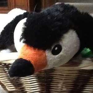 Meet your Posher, Neil